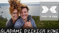 ŚLADAMI DZIKICH KONI.  Bogata natura Galicji.  Odkrywamy punkty widokowe! FOXESINEDEN - Odcinek 30