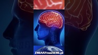 Oglądanie telewizji zmniejsza rozmiar mózgu! Naukowcy są tego pewni