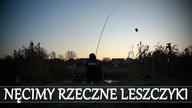 NĘCIMY RZECZNE LESZCZYKI - RZEKA i FEEDER