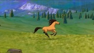 Spirit Thowra opening