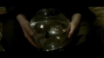 Jak ryba bez wody Comme un poisson hors de leau 1999 napisy pl