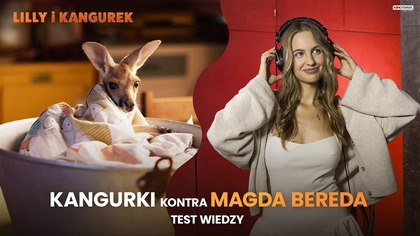 LILLY I KANGUREK | KANGURKI kontra MAGDA BEREDA | Kino Świat