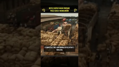 Nestlé sprzedaje kakao zbierane przez niewolników #ciekawostki #nestle #biznes