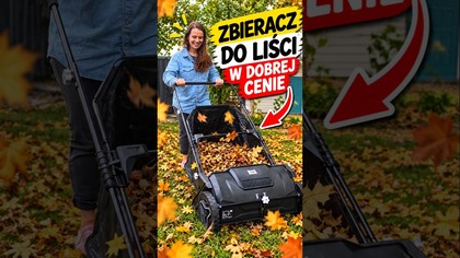 Nie przepłacaj za sprzęt do domu i ogrodu!  #liście #jesień #rusztowanie #jula #jesienneporządki
