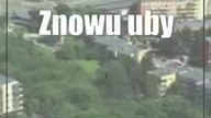 Znowu ubyło.  Lublin ma coraz mniej mieszkańców