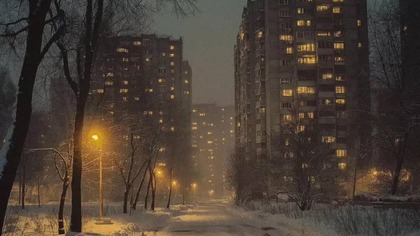 NOVWIK -   | - Doomer Wave