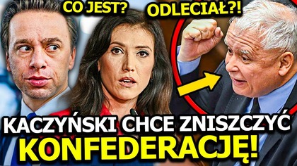 KACZYŃSKI IDZIE NA WOJNĘ Z KONFEDERACJĄ! CHCE ZNISZCZYĆ MENTZENA I BOSAKA! PIS SIĘ ICH BOI?!