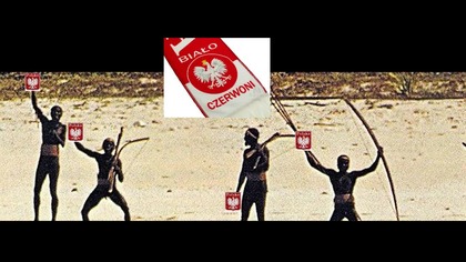 dezinformacja czy idiokracja