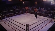 Final Impact. lektor