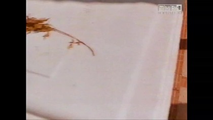 Piątek . TVP 1..VID-1695241228229