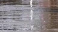 Powódź 2024 #powódź #shortvideos #drone #river