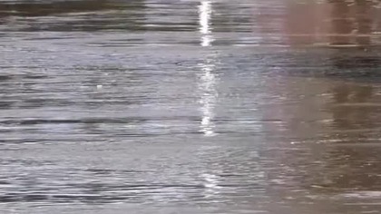 Powódź 2024 #powódź #shortvideos #drone #river