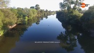 Dzika Portugalia - laguna Aveiro-film dokumentalny lektor pl