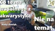 Odpowiadam na wasze komentarze Słaby dźwięk Filmy nie na temat akwarystyki