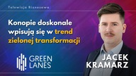 Konopie włókniste drewnem 2. 0?