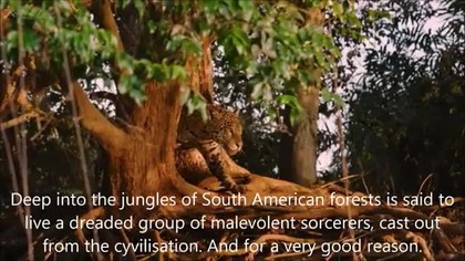 Content warning. If Youre below 18 or have above average emotional sensitivity, You may want to skip this video... No wonder locals slaughter these sorcerers on sight. Sometimes jungle justice is justified...