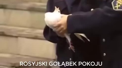 Rosyjski gołąbek pokoju
