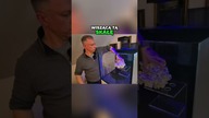 Skały, które nie dotykają dna? Zobacz ten efekt!