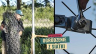 Montaż ogrodzenia z siatki