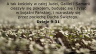Janek Pajor - Ja kocham cię