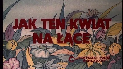 Gdy Dali wpada w tarapaty, jego wierni sąsiedzi  kret, biedronki i stonoga  przychodzą z pomocą. To odcinek o sile przyjaźni i wspólnym działaniu.