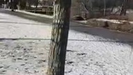 MAIO: Po Drodze z Karlsrue