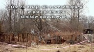 Silny rosyjski płotek wytrzymuje 30 tonowe ciśnienie 