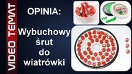 Wybuchowy śrut do wiatrówki - Opinia