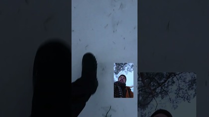 Cichy marsz po śniegu?