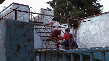 Amores Perros (2000) Lektor HD