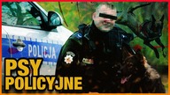 10 CIEKAWOSTEK O PSACH POLICYJNYCH