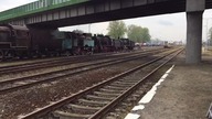 Koleje Dolnośląskie w Wolsztynie 2017