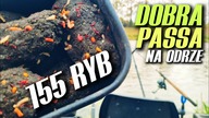 450 DOBRA PASSA! PŁOCIE, JAZIE, LESZCZE - KANAŁ POWODZIOWY i KONTROLA.