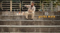 FD yerba mate | Czajnikowy.pl