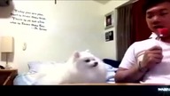WAZZUP-FUNNY VIDEOS YOUTUBE 2015 I 