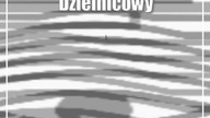 Lublin: Konferencja POSTĘPNOŚĆ