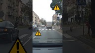 Polski standard na przejściu dla pieszych #shorts #rikordwidjo