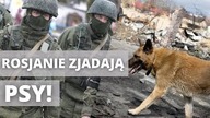 Szczyt BARBARZYŃSTWA! Rosjanie zjadają ukraińskie PSY