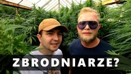 Uprawa marihuany to zbrodnia? - W Drodze Do Legalizacji #20
