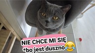 NIE CHCE MI SIĘ!