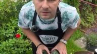 Co słodkiego chcesz zobaczyć na kanale? #slodkie #deser #ciastko #wyzwanie #challenge #pisz