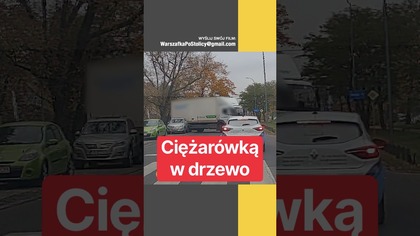Kasztany same nie spadły, więc kierowca pomógł im dwa razy #kierowca #bezpieczeństwo