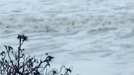 Ustka na fali Sztorm 02.01.2019