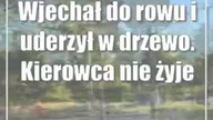 Wjechał do rowu i uderzył w drzewo.  Kierowca nie żyje
