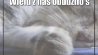 Świdnik: Będzie ciepło