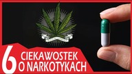 6 CIEKAWOSTEK O NARKOTYKACH !