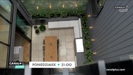 Canal+ Domo - Tył&oacute;wka dżingla reklamowego i urywek zapowiedzi (noc 19. 12. 2021)