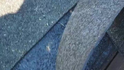 Papa Sfazowana , tak to wygląda #shorts #shorty #works