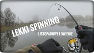 Lekki spinning // listopadowe łowienie // 2021