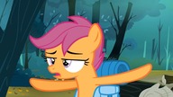 My Little Pony Przyjaźń to Magia | Sezon 3 Odcinek 6 | Bezsenność w Ponyville